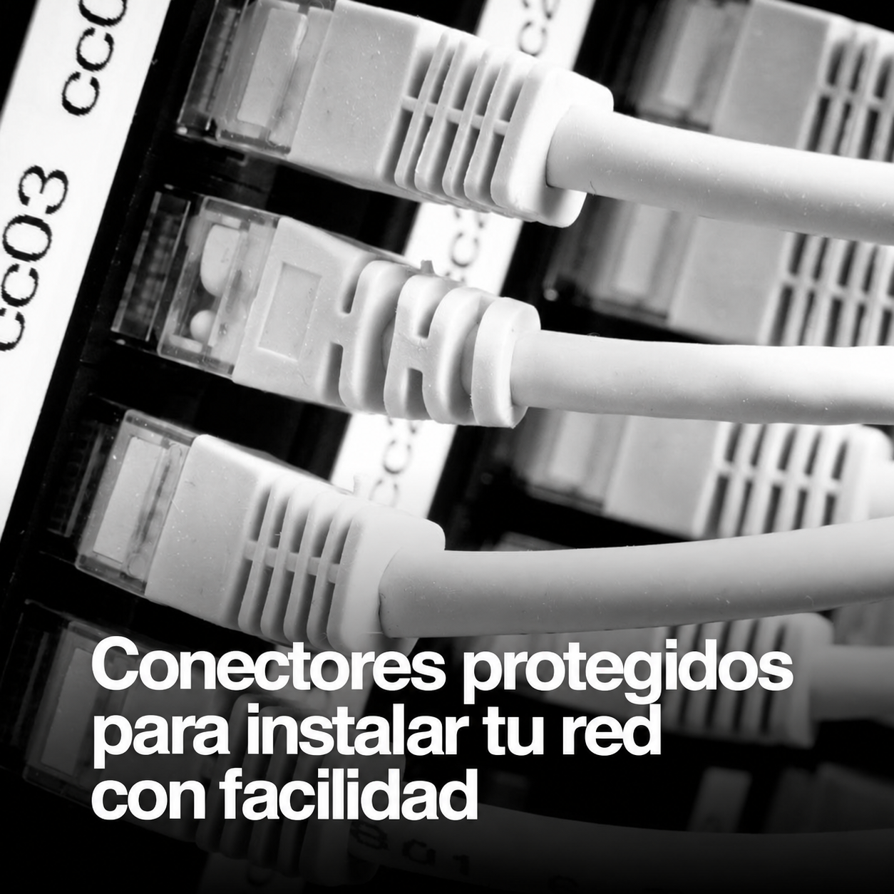 Cable de red ArgomTech CAT5e de 5 m: detalle del producto